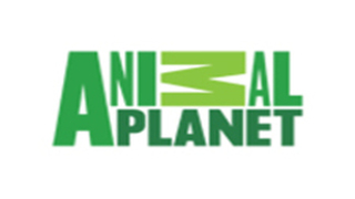 GIA TV Animal Planet Channel Logo TV Icon