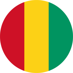 GIA TV Guinea Flag Round