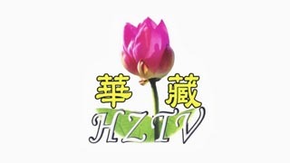 GIA TV Hwazan TV Logo, Icon