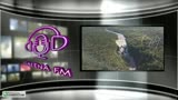 GIA TV User Stream - GALENA TV PARAGUAY