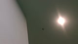 GIA TV User Stream - Kings Live