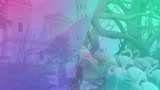 GIA TV User Stream - FlamingoTV
