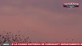 GIA TV User Stream - VISION TV NATALIO