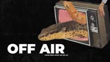 GIA TV User Stream - Adult Swim (East Simulcast)
