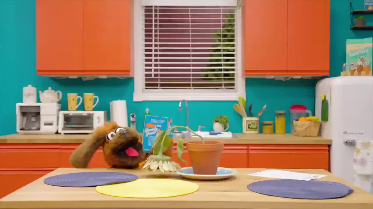 GIA TV Program Thumbnail, Poster