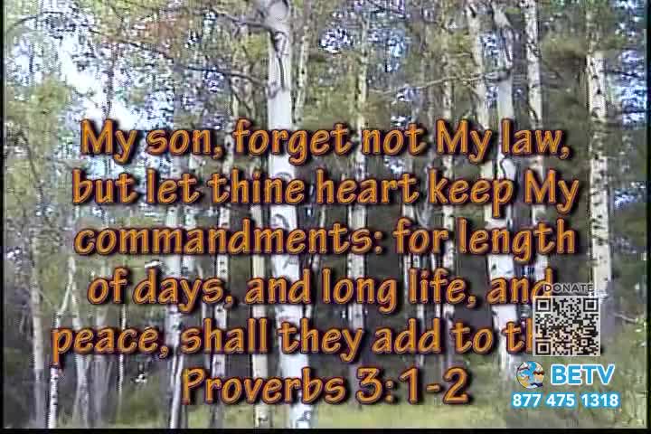 GIA TV Program Thumbnail, Poster