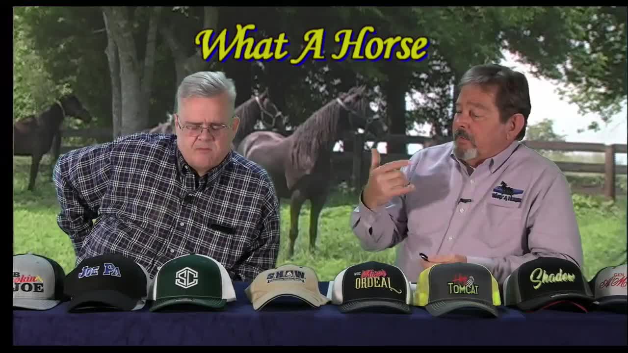 GIA TV Program Thumbnail, Poster