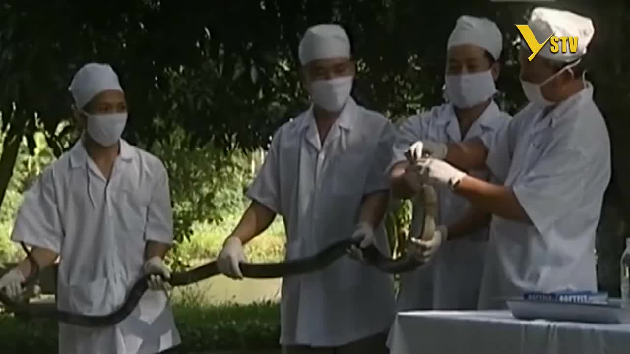 GIA TV Program Thumbnail, Poster