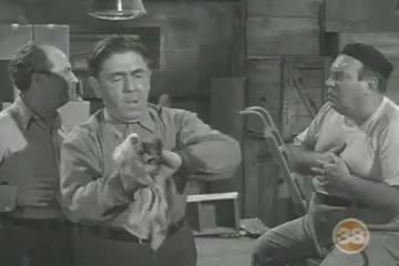 GIA TV Program Thumbnail, Poster