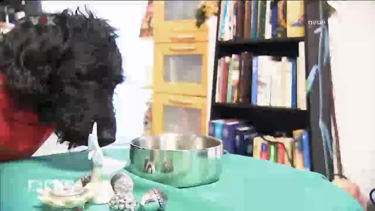 GIA TV Program Thumbnail, Poster