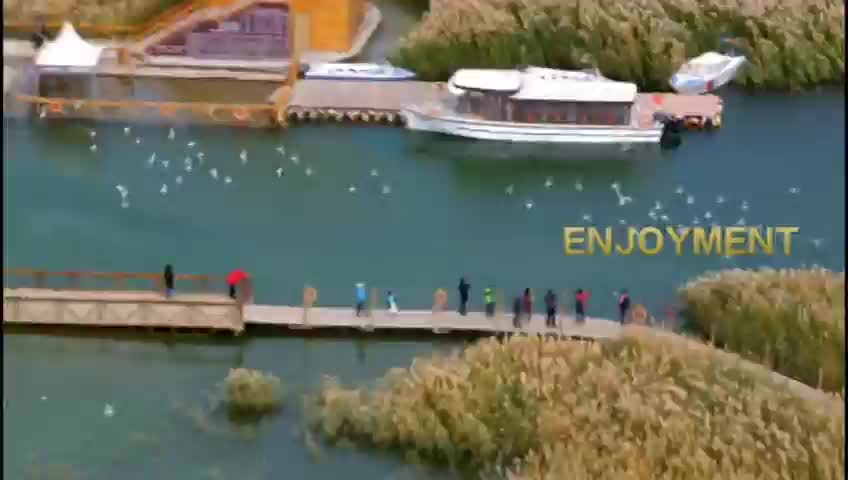 GIA TV Program Thumbnail, Poster