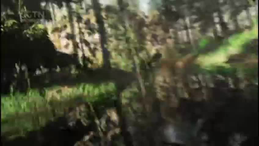 GIA TV Program Thumbnail, Poster