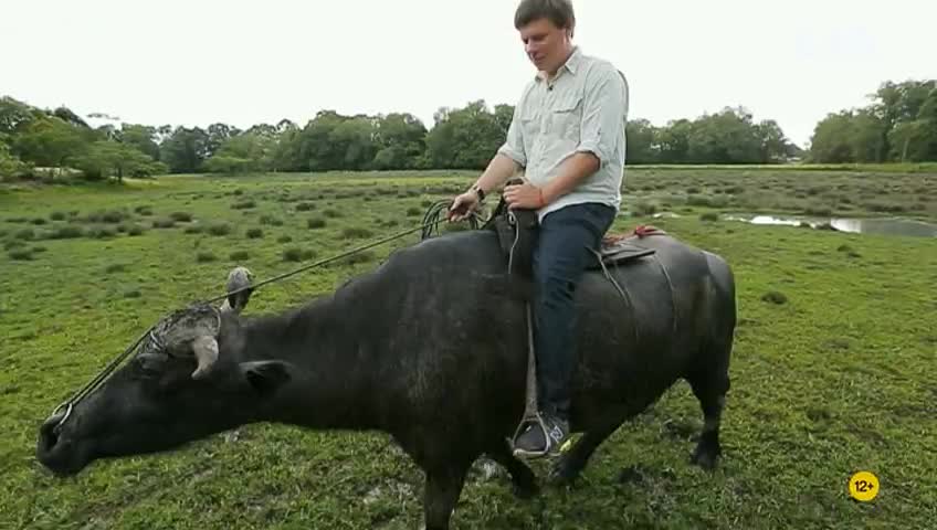 GIA TV Program Thumbnail, Poster