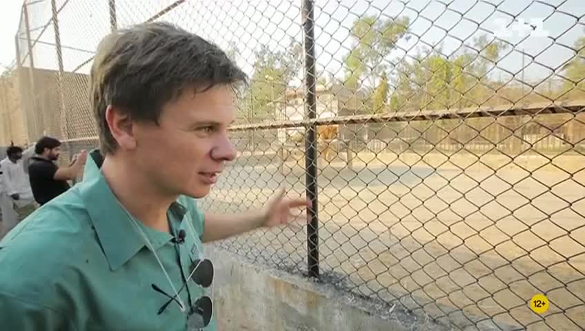 GIA TV Program Thumbnail, Poster