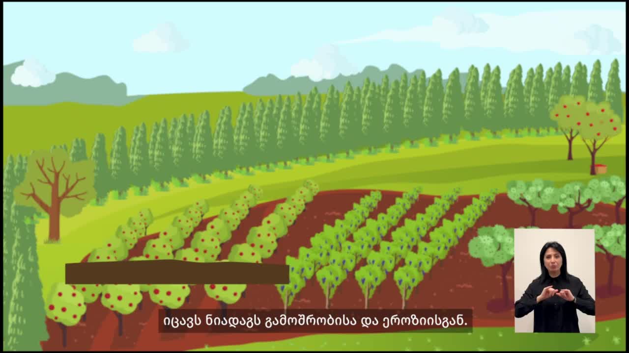 GIA TV Program Thumbnail, Poster