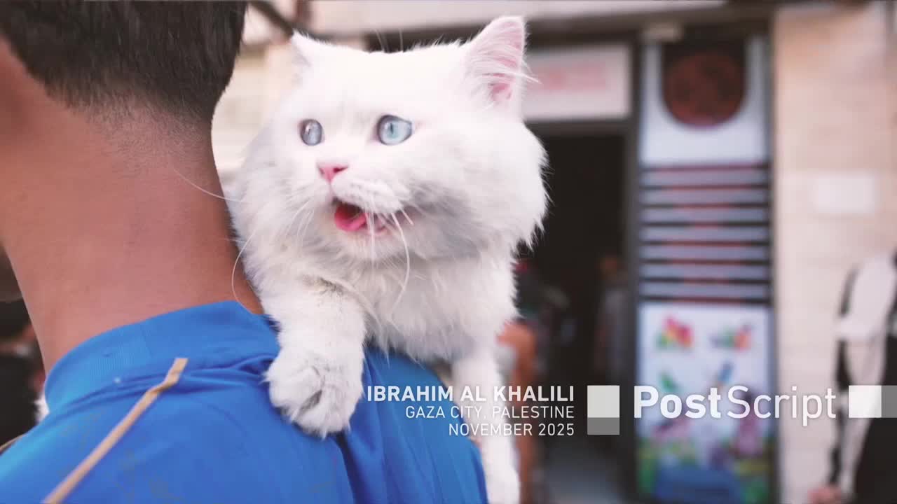 GIA TV Program Thumbnail, Poster