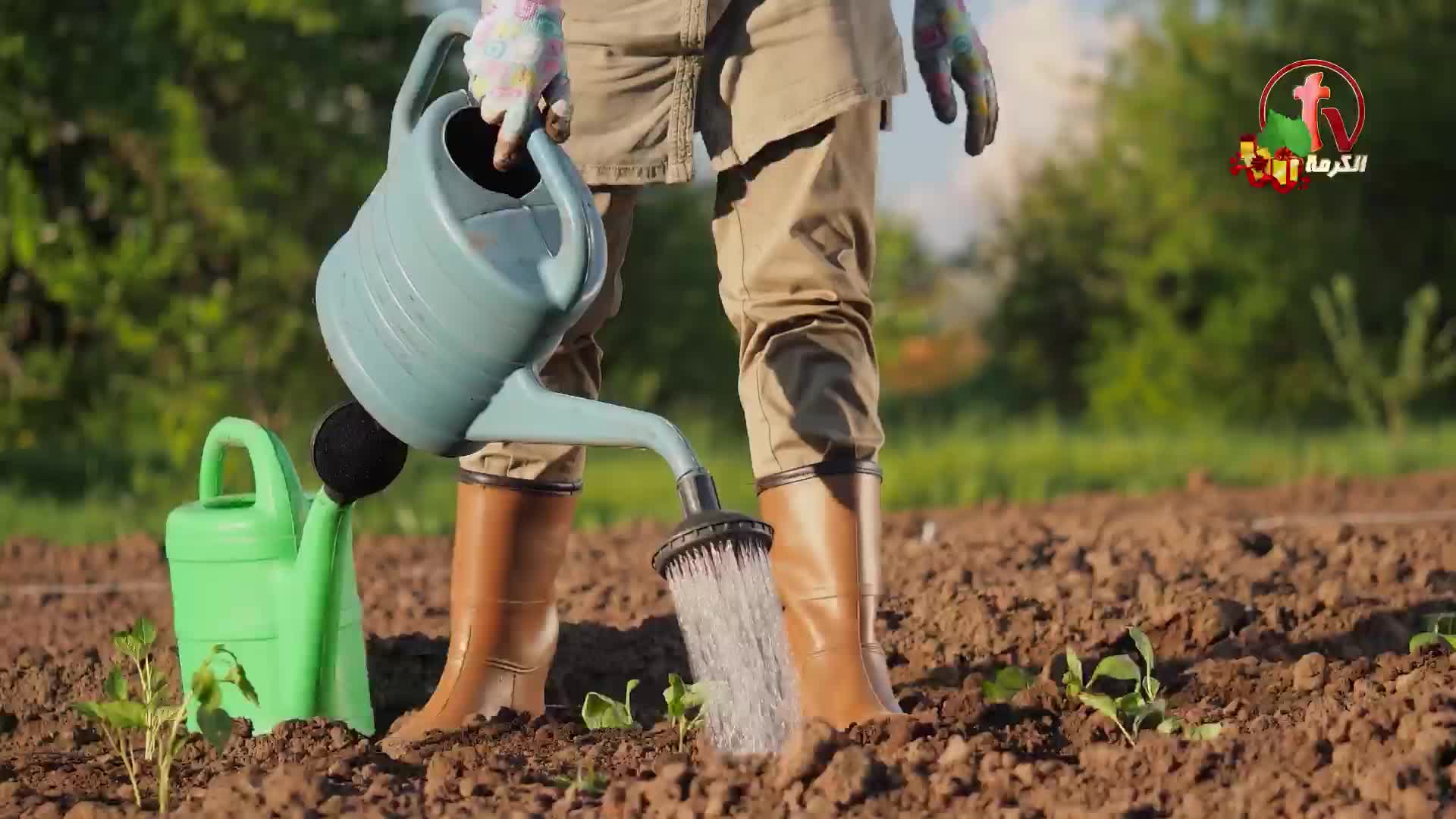 GIA TV Program Thumbnail, Poster