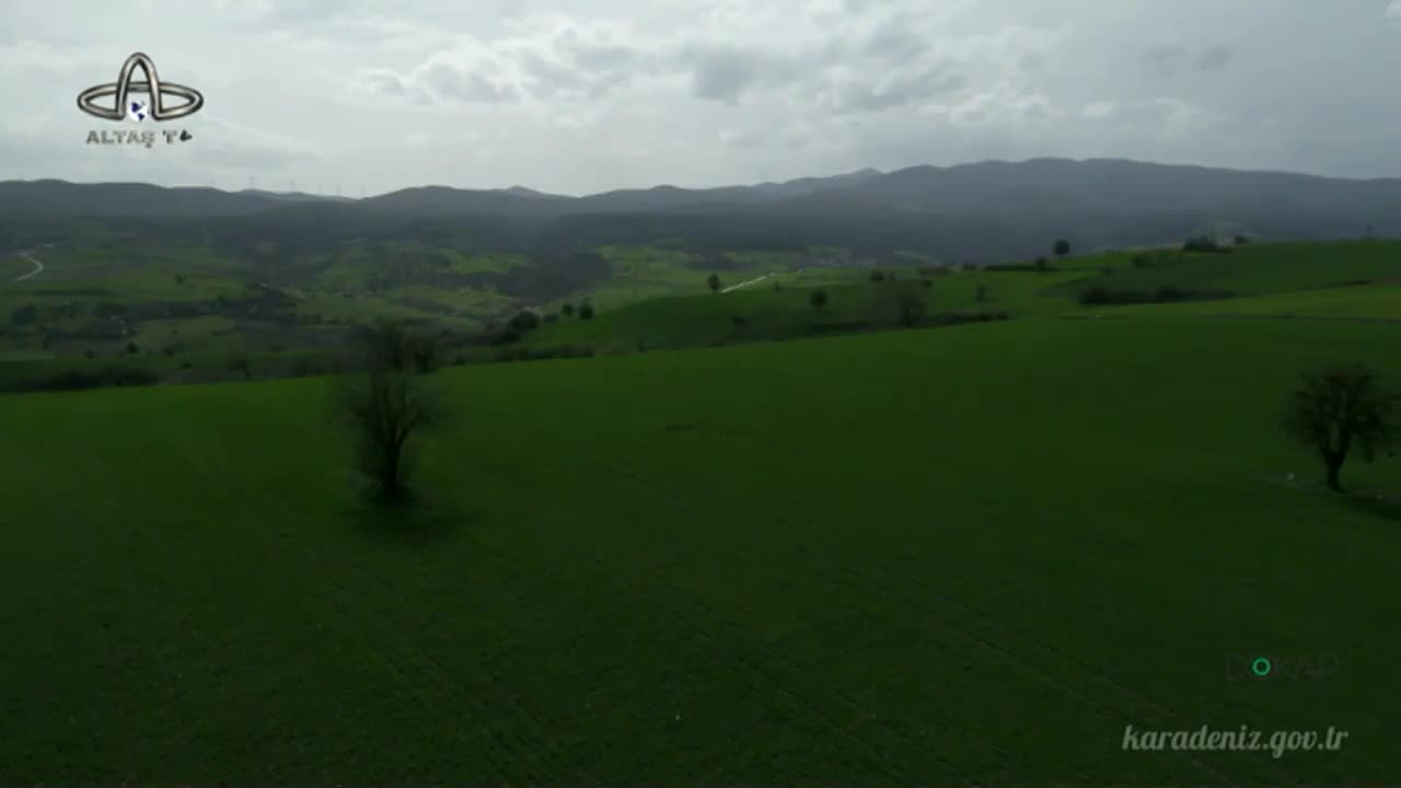 GIA TV Program Thumbnail, Poster