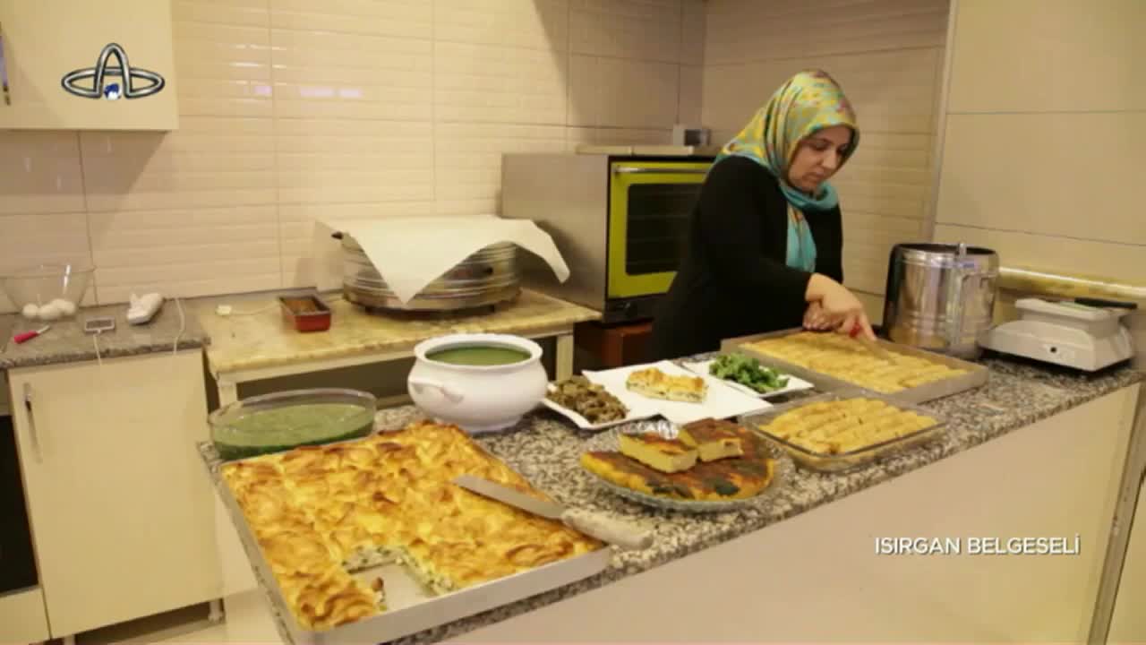 GIA TV Program Thumbnail, Poster