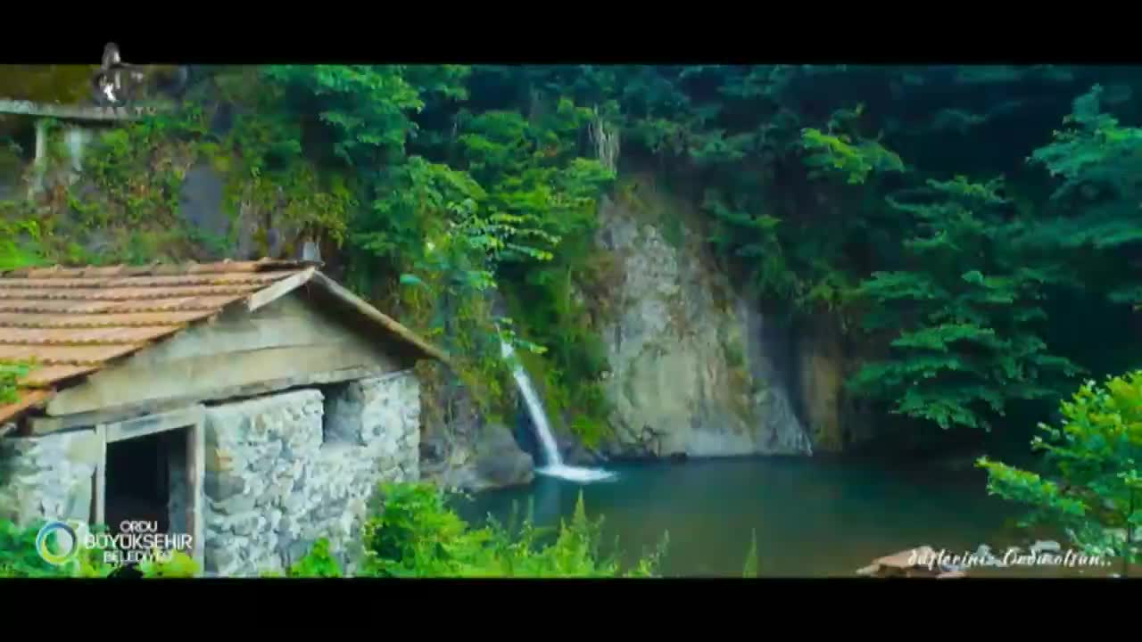 GIA TV Program Thumbnail, Poster