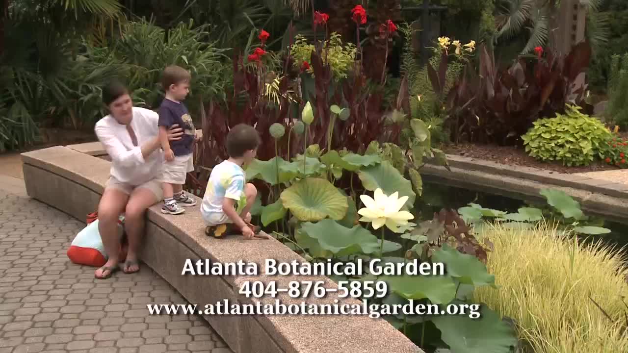 GIA TV Program Thumbnail, Poster