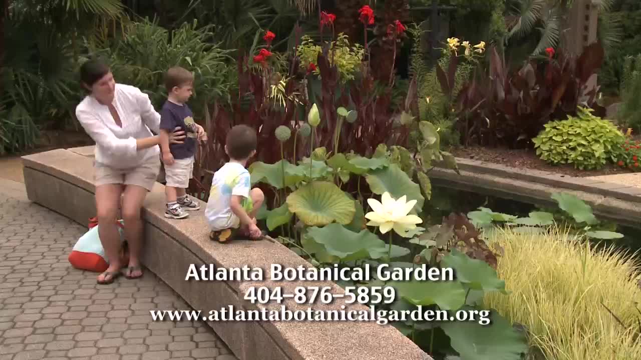 GIA TV Program Thumbnail, Poster