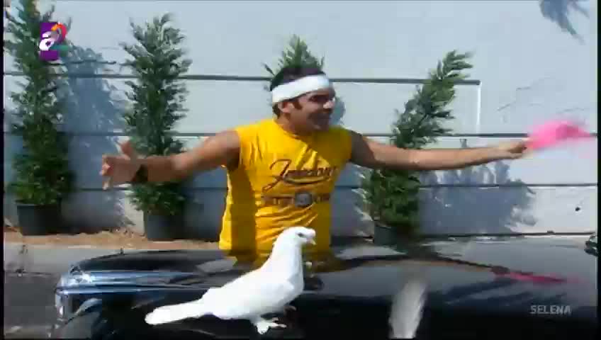 GIA TV Program Thumbnail, Poster