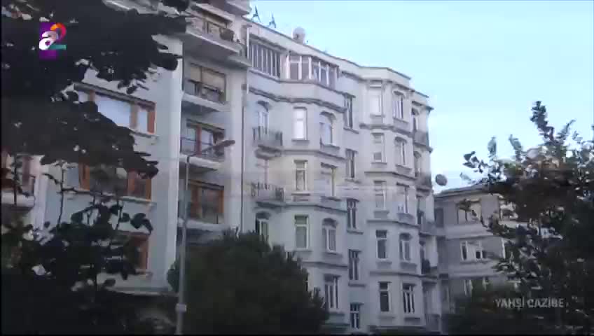 GIA TV Program Thumbnail, Poster