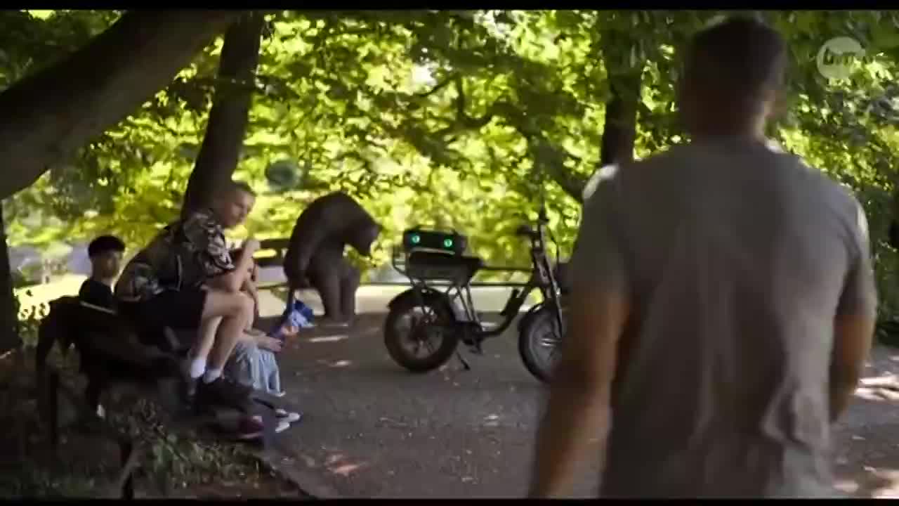 GIA TV Program Thumbnail, Poster