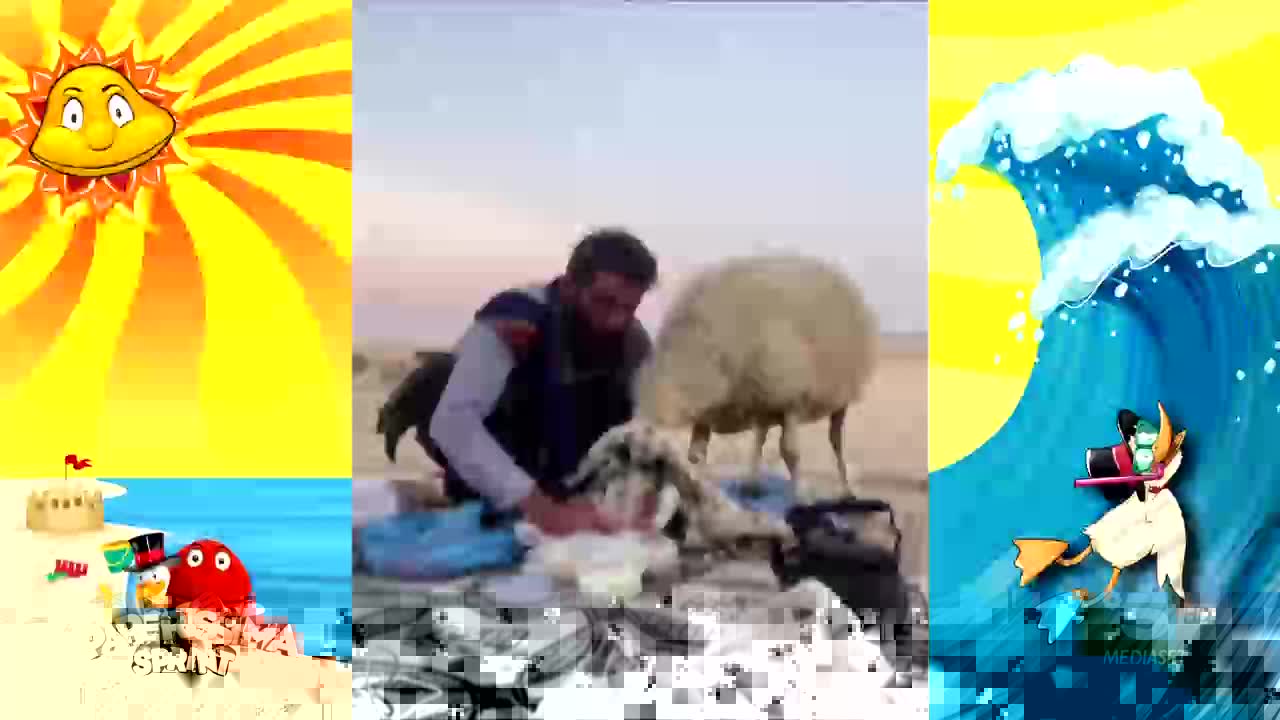 GIA TV Program Thumbnail, Poster