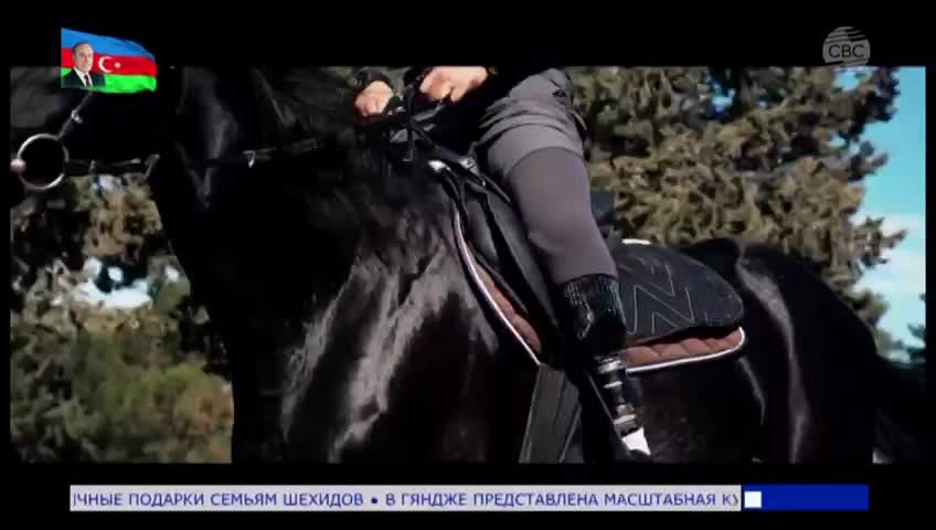 GIA TV Program Thumbnail, Poster