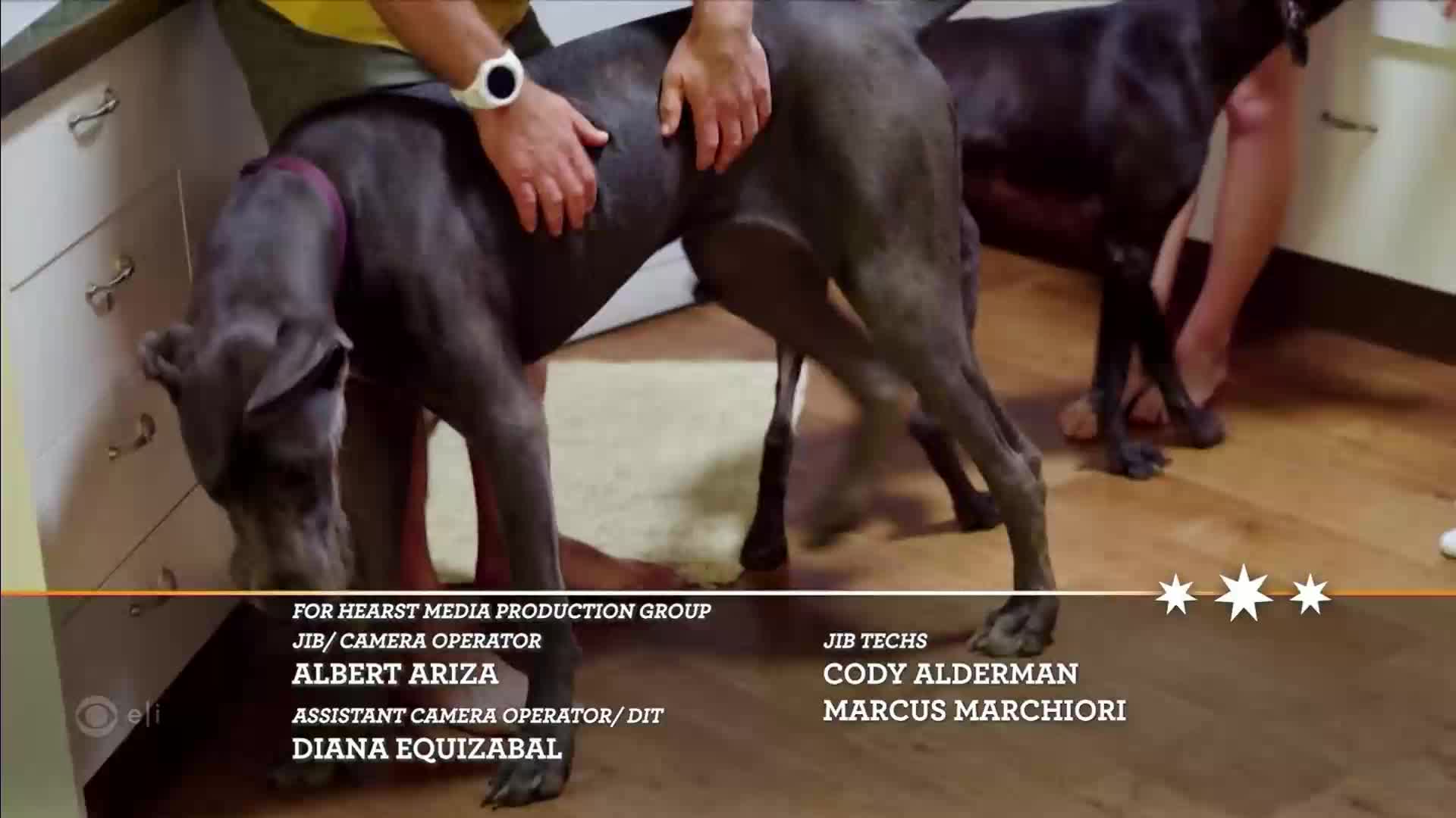 GIA TV Program Thumbnail, Poster