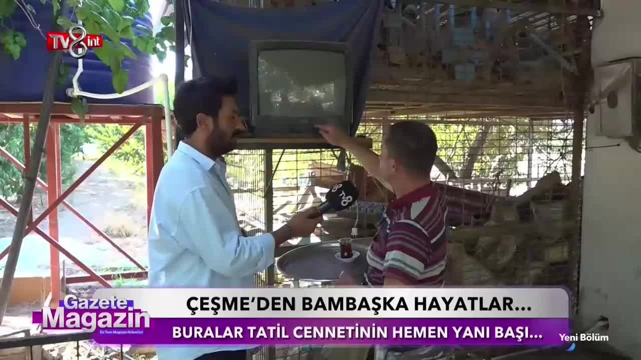 GIA TV Program Thumbnail, Poster