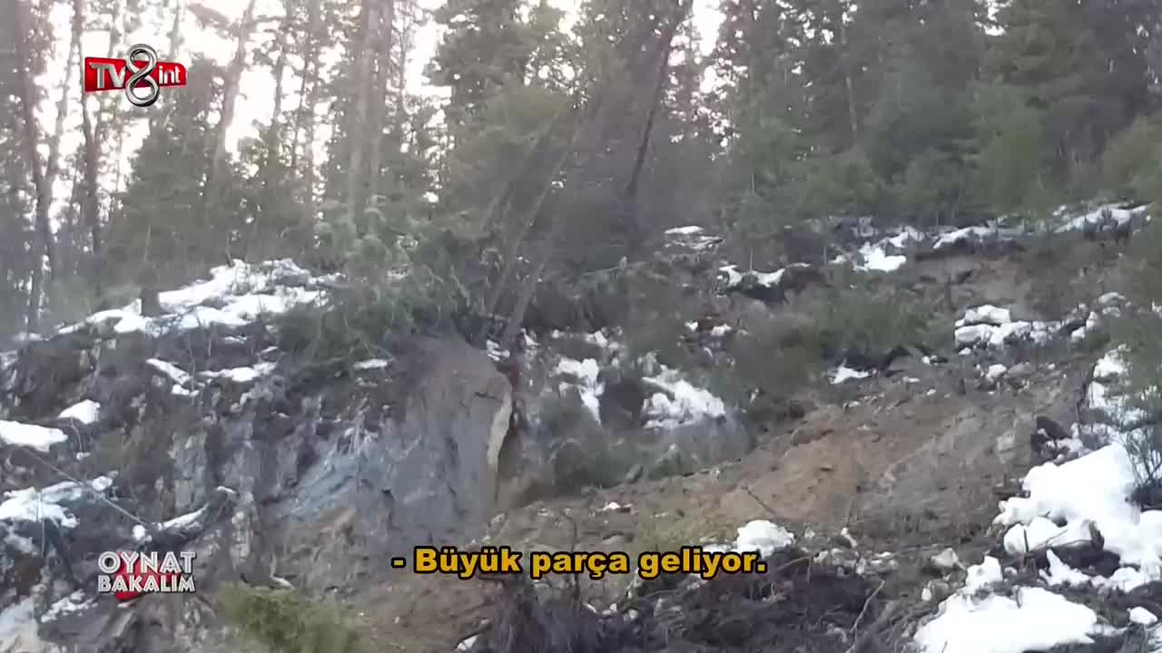 GIA TV Program Thumbnail, Poster