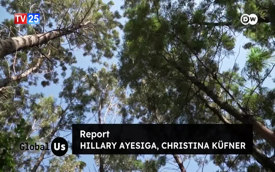 GIA TV Program Thumbnail, Poster