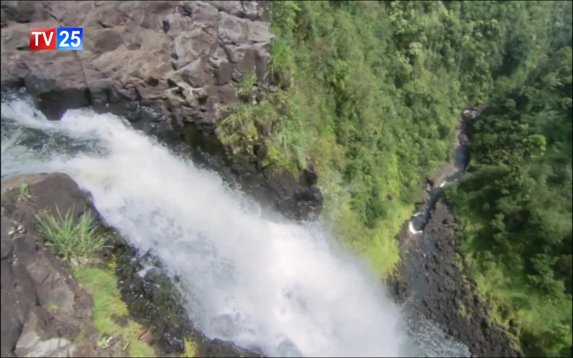 GIA TV Program Thumbnail, Poster