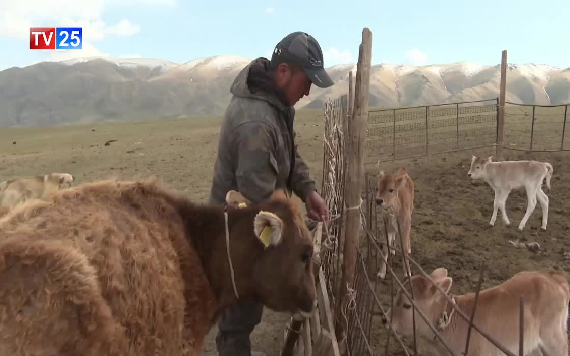 GIA TV Program Thumbnail, Poster