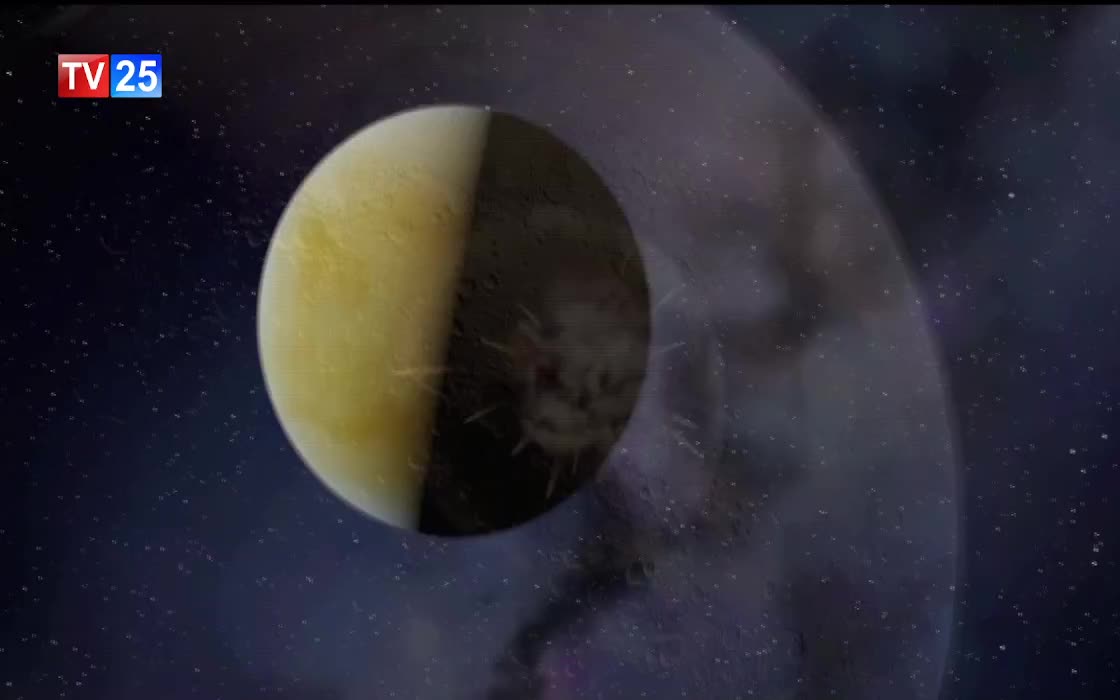 GIA TV Program Thumbnail, Poster