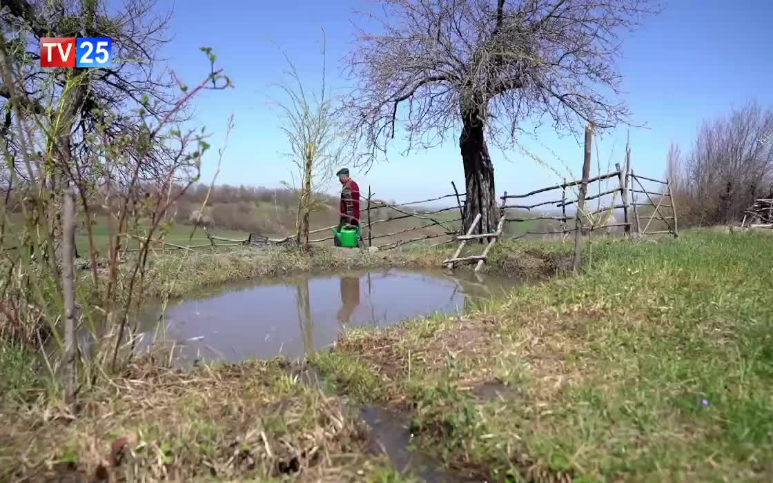 GIA TV Program Thumbnail, Poster