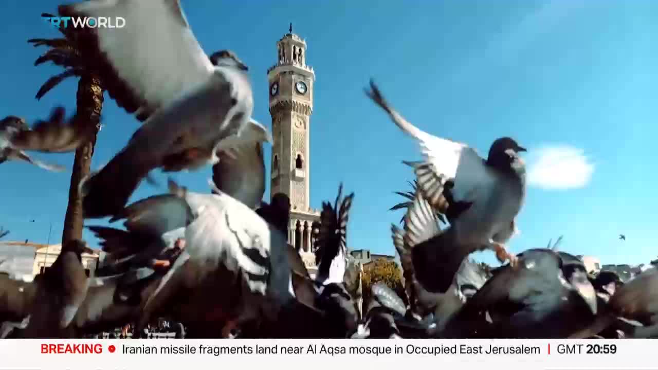 GIA TV Program Thumbnail, Poster