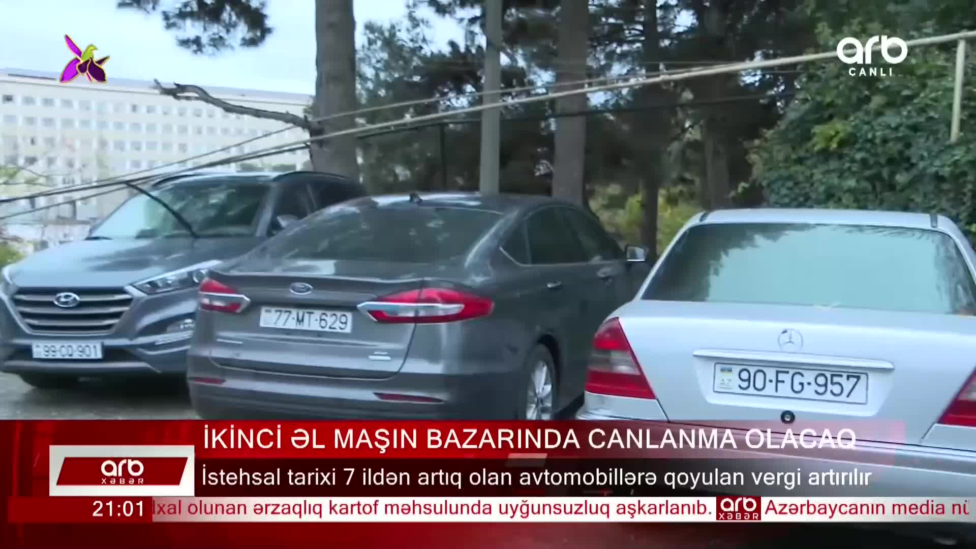 GIA TV Program Thumbnail, Poster