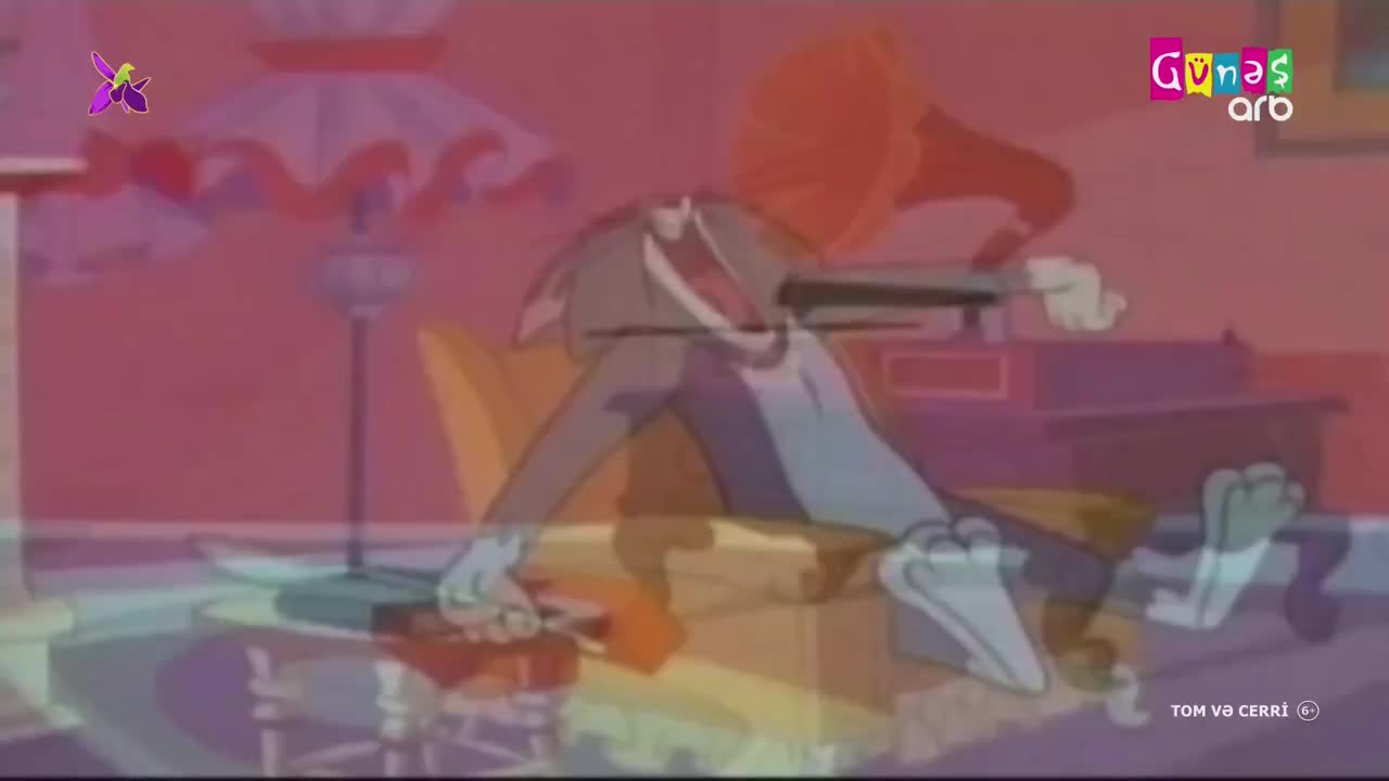 GIA TV Program Thumbnail, Poster