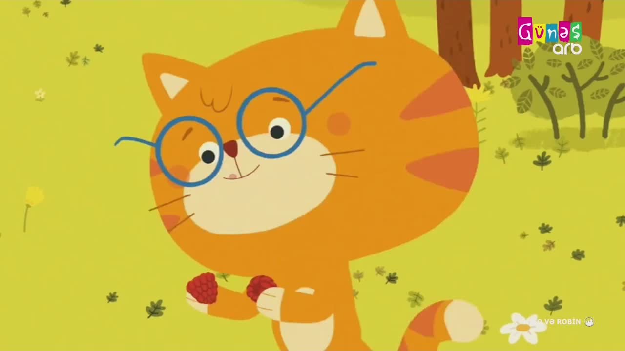 GIA TV Program Thumbnail, Poster