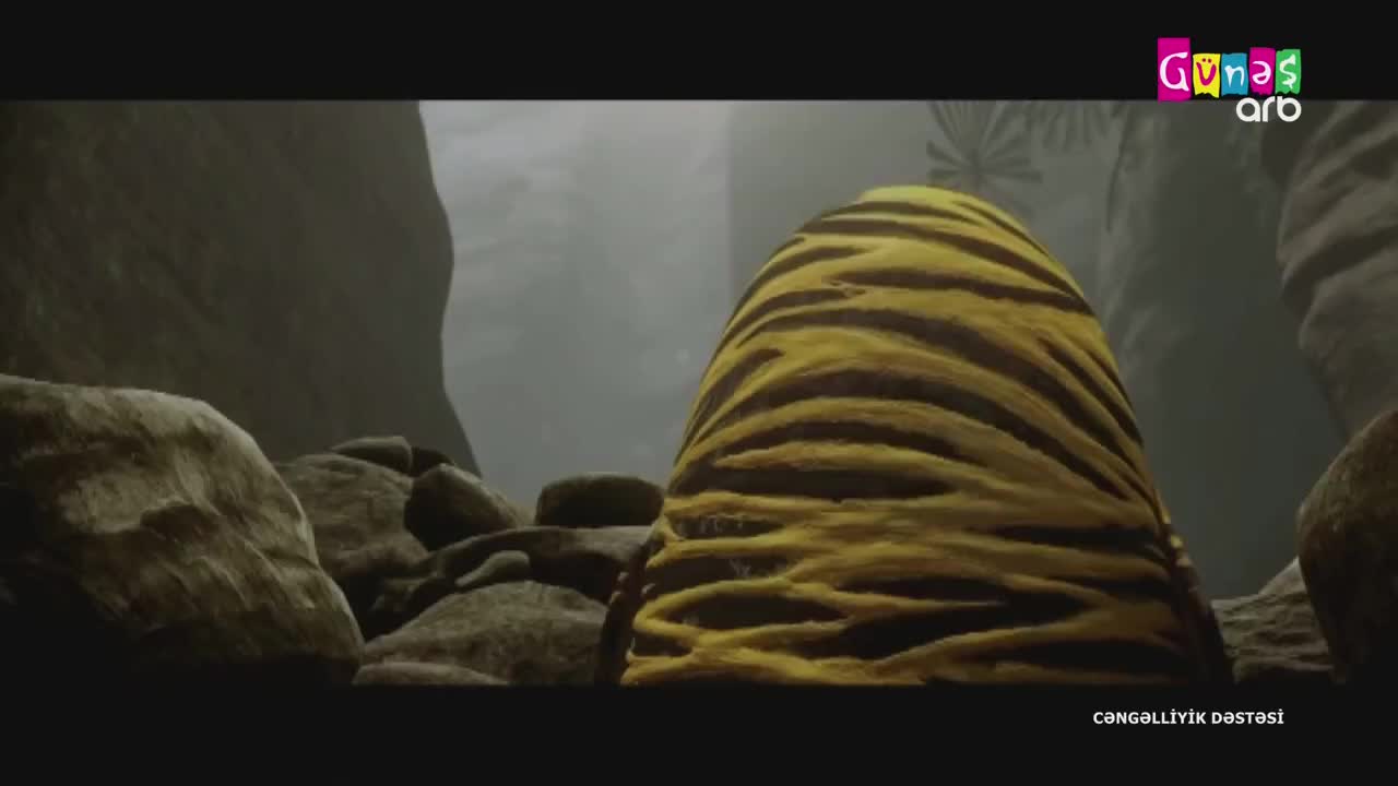 GIA TV Program Thumbnail, Poster