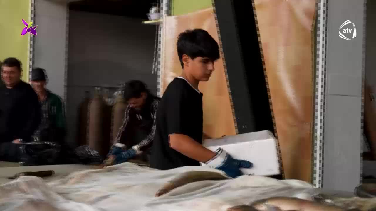 GIA TV Program Thumbnail, Poster