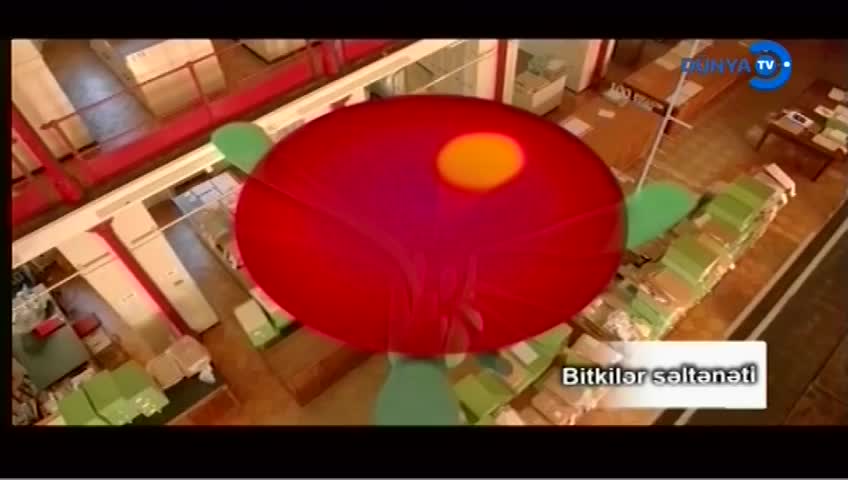 GIA TV Program Thumbnail, Poster