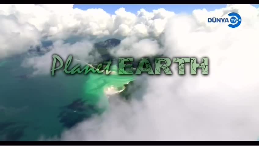 GIA TV Program Thumbnail, Poster