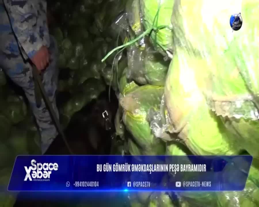 GIA TV Program Thumbnail, Poster