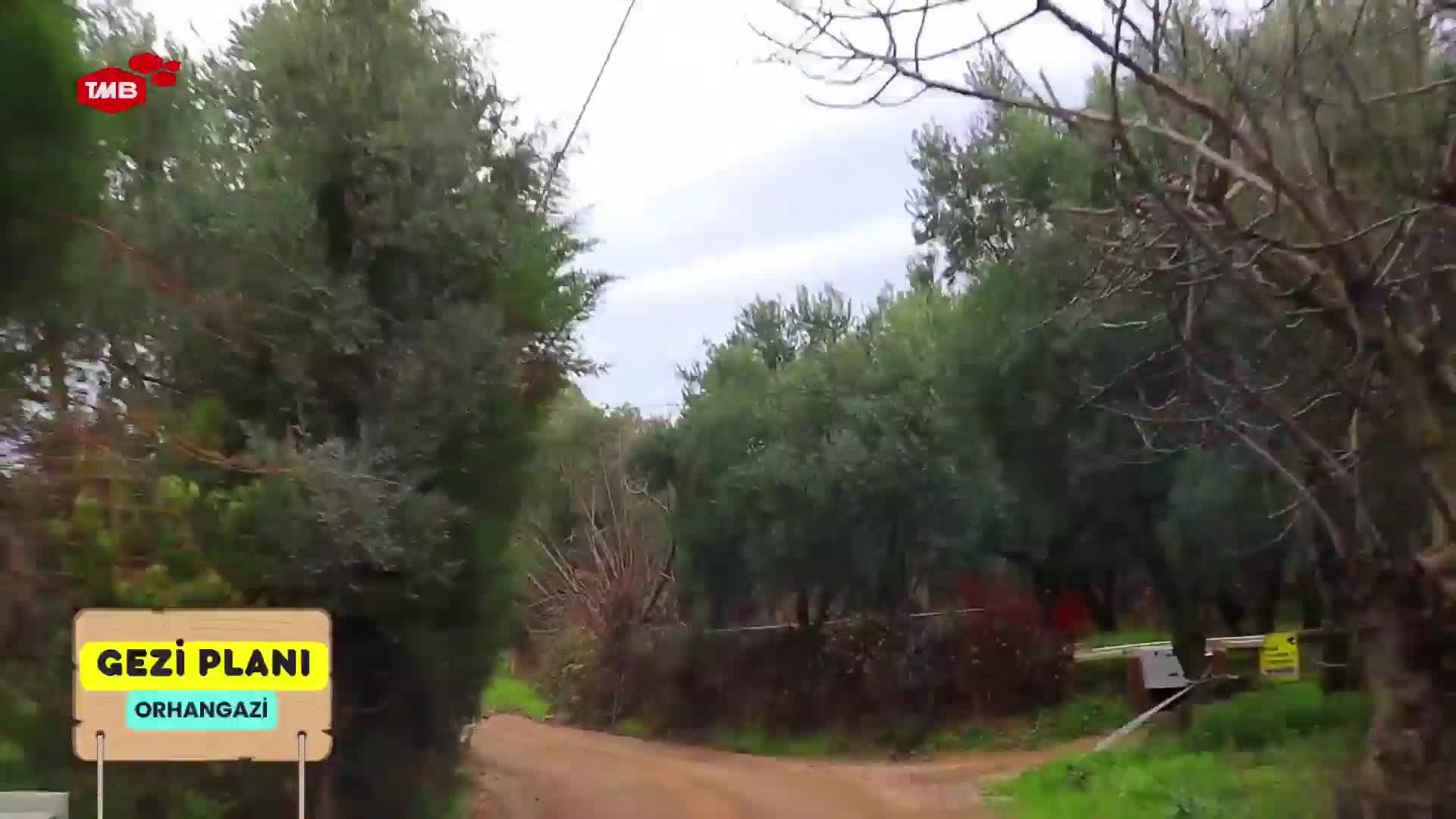 GIA TV Program Thumbnail, Poster