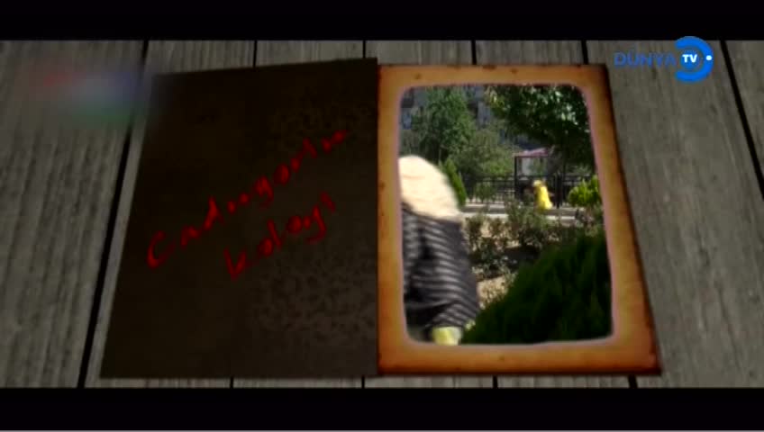 GIA TV Program Thumbnail, Poster